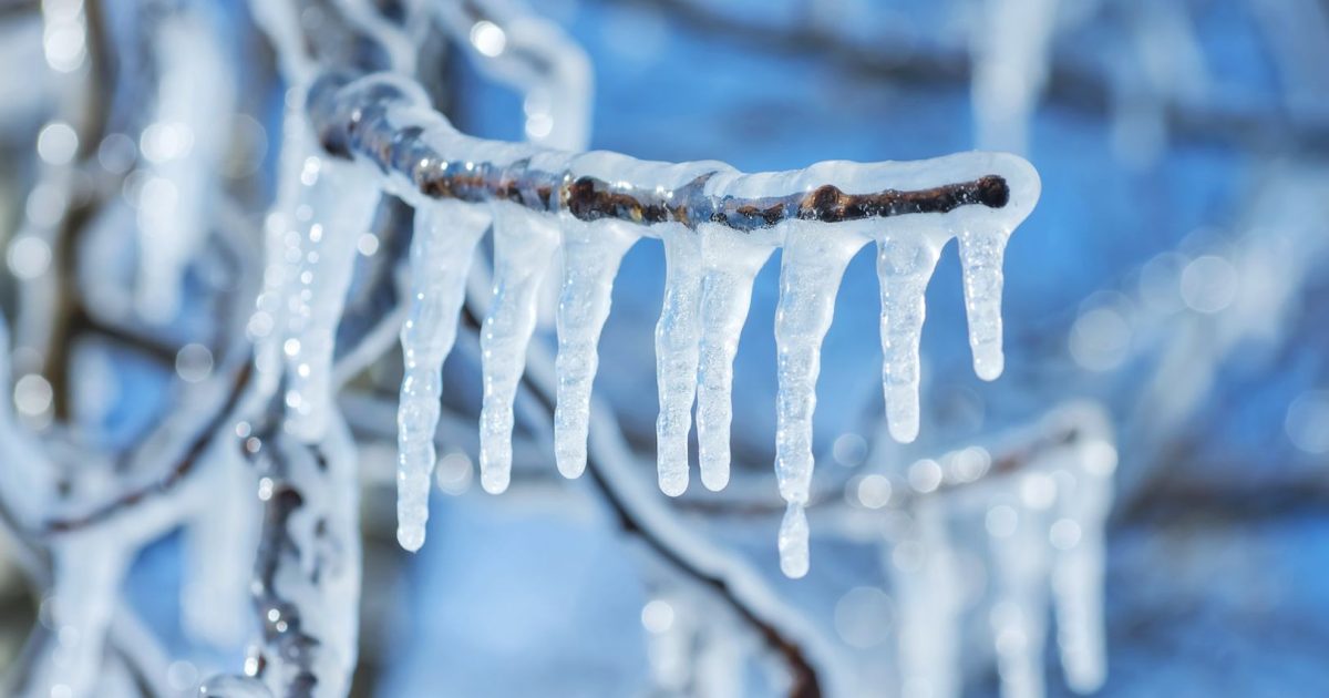 Inside the $71 million freeze on Arbitrum that has the crypto world questioning what decentralization really means