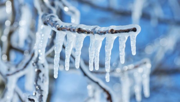 Inside the $71 million freeze on Arbitrum that has the crypto world questioning what decentralization really means