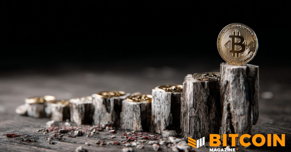 Bitcoin Moves Past Halfway Point in Halving Cycle as Supply Tightens Toward 2028