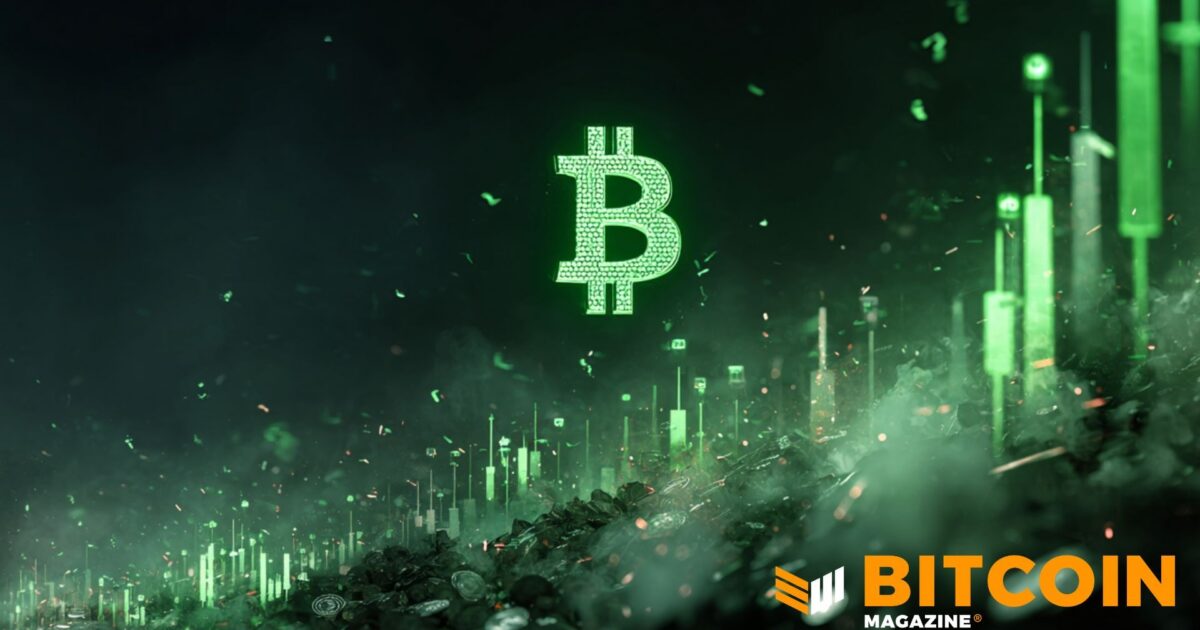 Bitcoin Price Roars Past $76,000 as Short Squeeze Continues