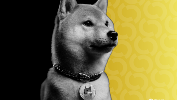 Dogecoin Foundation, MoonPay Team to Donate 1 Million DOGE to Dog Charity