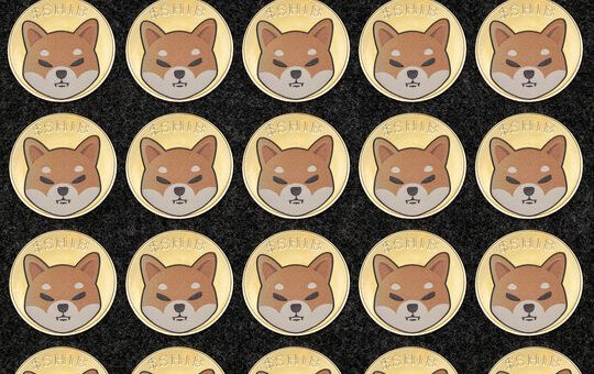Shiba Inu Could Stage A Return As 20% Move Puts It Ahead Of Bitcoin And XRP In This Metric