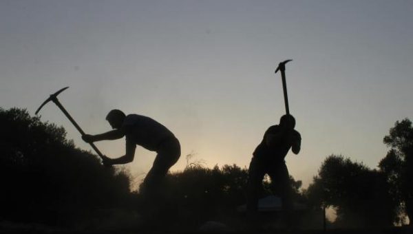 Crypto Miners Get Tax Holiday In Uzbekistan’s New State-Backed Zone