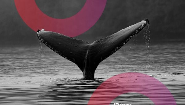 Ethereum ICO Whale Stirs After Decade: $3,100 Bet Now Worth $23M