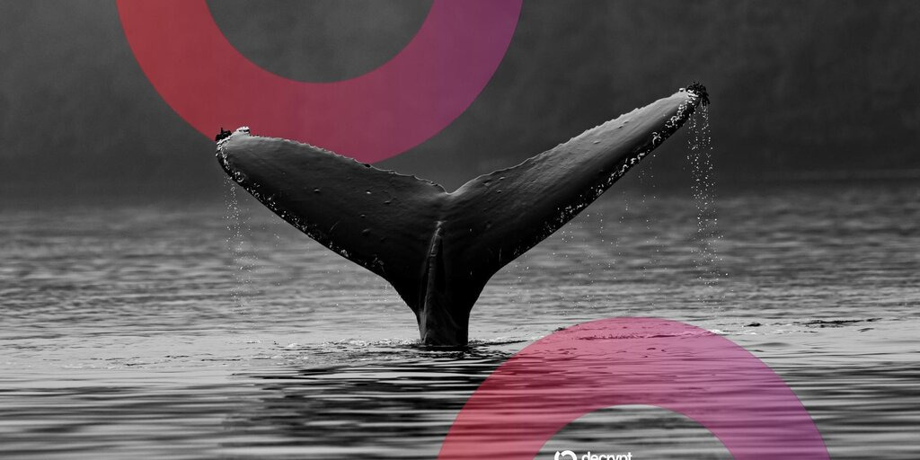 Ethereum ICO Whale Stirs After Decade: $3,100 Bet Now Worth $23M