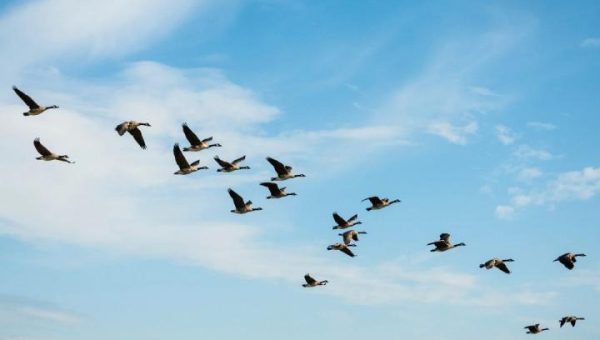 $700M Solv Migration Signals Flight to Quality From LayerZero