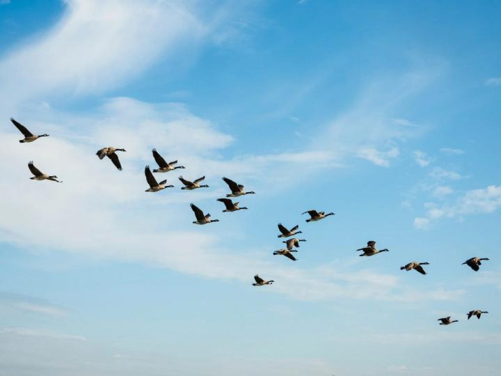 $700M Solv Migration Signals Flight to Quality From LayerZero